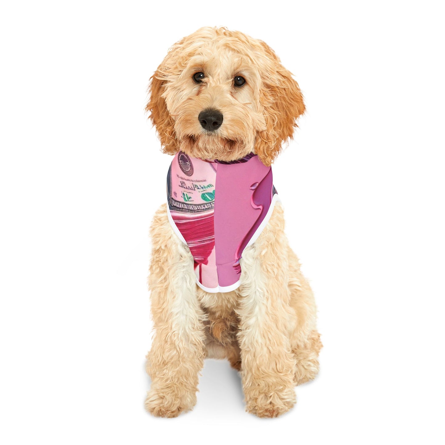Glamorous Pet Hoodie for Fashionable Pups, Trendy Dog Apparel, Pet Fashion, Pink Money Design, Cozy Hoodie for Dogs and Cats