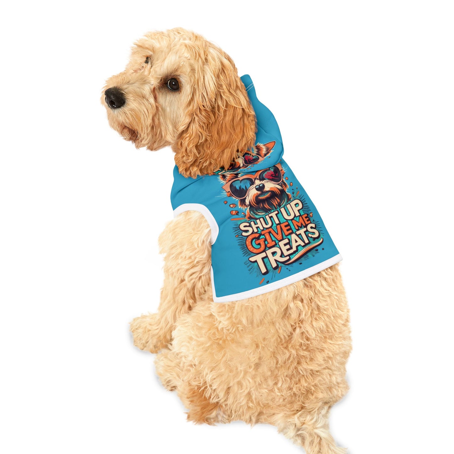 Trendy Pet Hoodie for Stylish Dogs, Funny Dog Apparel, Gift for Dog Lovers, Pet Costume, Dog Treats Hoodie, Cute Animal Fashion