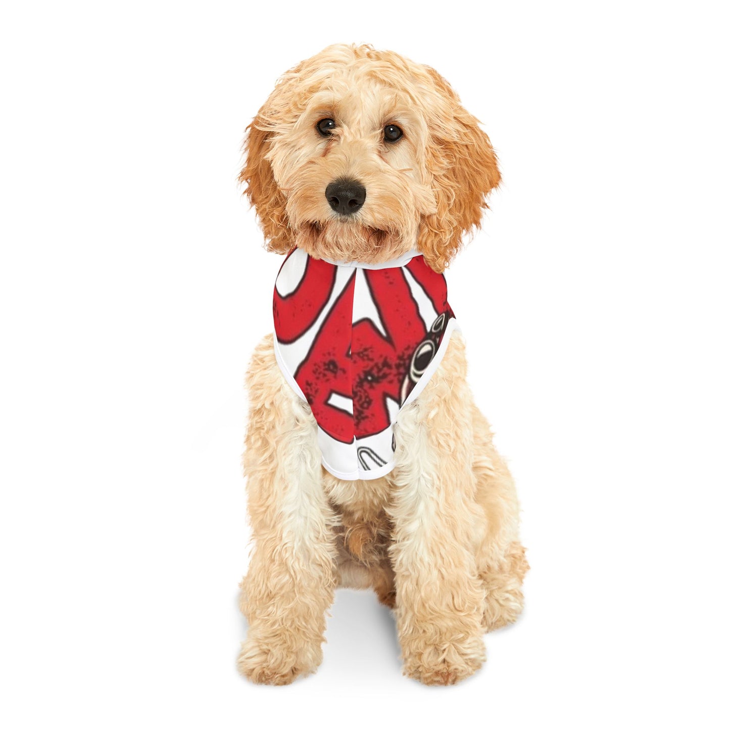Cool Pet Hoodie for Trendy Pups, Hip Dog Apparel, Motorcycle Pet Clothing, Comfy Hooded Sweatshirt for Dogs, Unique Pet Gift