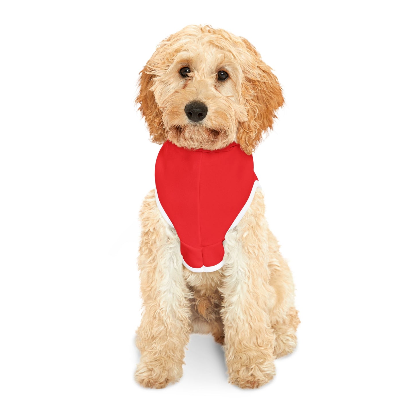 Trendy Pet Hoodie: 'I Only Bite When I'm Broke', Cute Dog Apparel for Pet Lovers, Funny Pet Clothing, Comfy Dog Wear, Perfect for Pets
