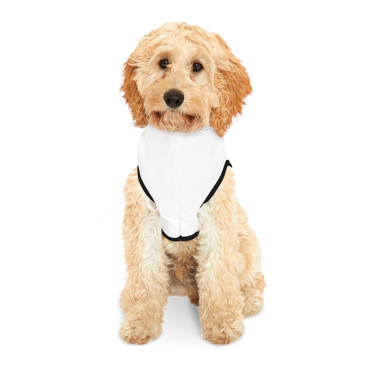 Funny Pet Hoodie for Holiday Cheer, Dog Sweater, Cute Pet Apparel, Christmas Gift, Pet Costume for Festive Occasions
