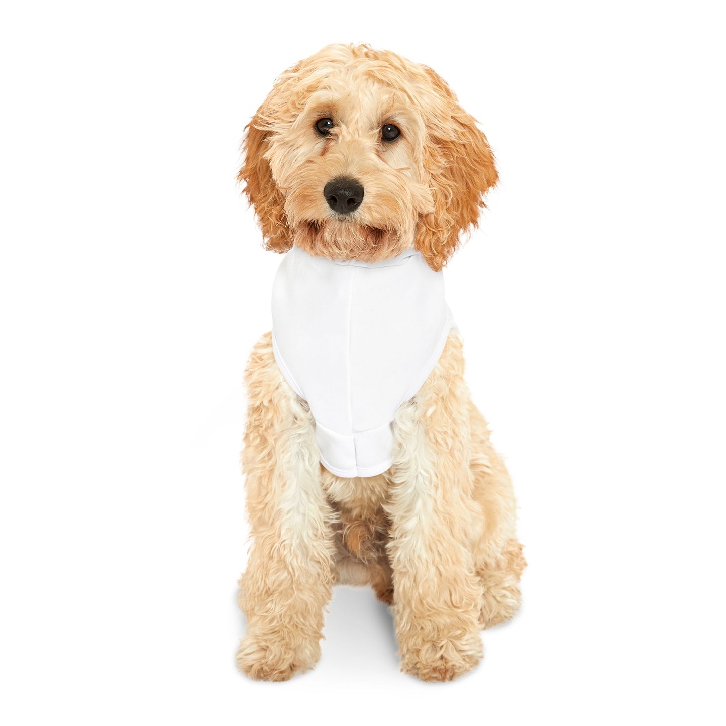 Funny Pet Hoodie for Holiday Cheer, Dog Sweater, Cute Pet Apparel, Christmas Gift, Pet Costume for Festive Occasions