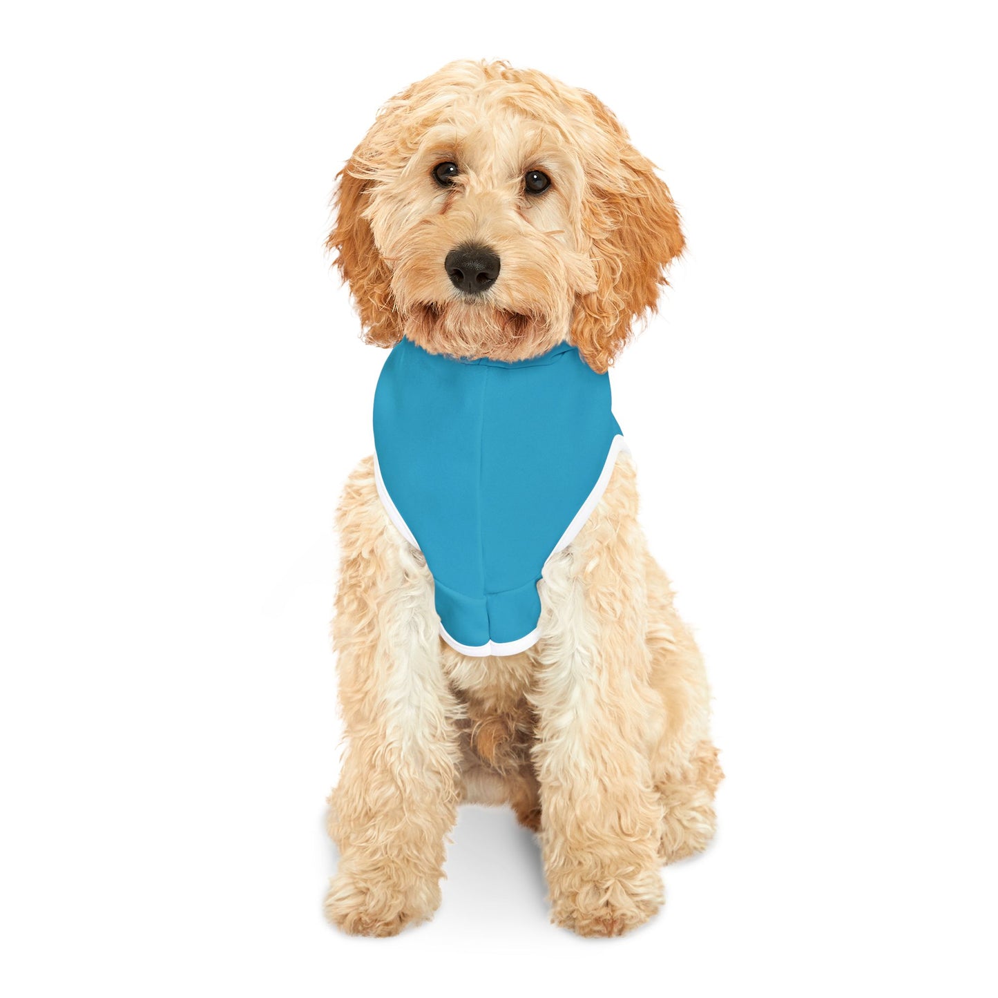 Trendy Pet Hoodie for Stylish Dogs, Funny Dog Apparel, Gift for Dog Lovers, Pet Costume, Dog Treats Hoodie, Cute Animal Fashion