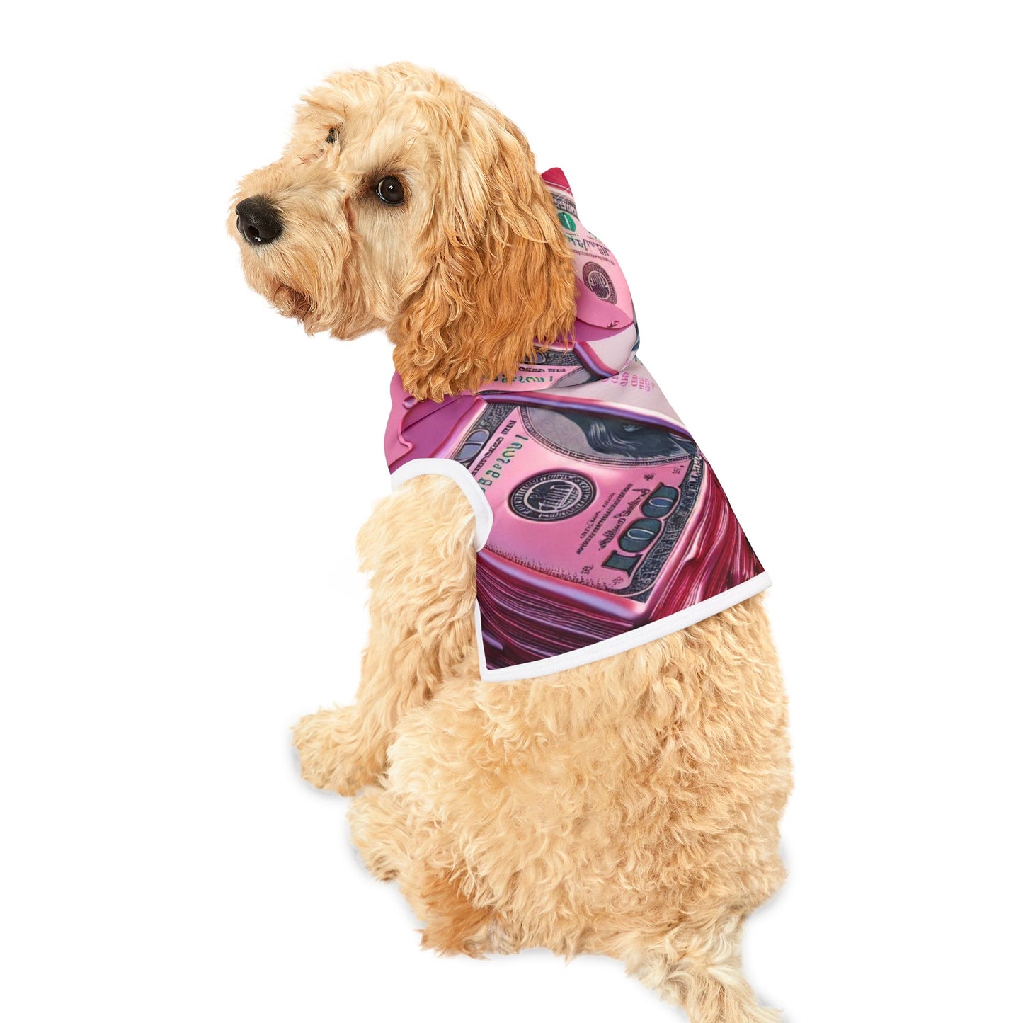 Glamorous Pet Hoodie for Fashionable Pups, Trendy Dog Apparel, Pet Fashion, Pink Money Design, Cozy Hoodie for Dogs and Cats